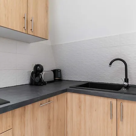 Apartman 4 Pieces 90m2 Centre Kremlin-bicetre - 6p - Flat-guest Le Kremlin-Bicêtre